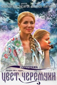 Цвет черемухи 1 сезон